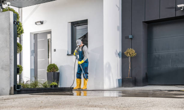 Best Soft Washing  in Romancoke, MD