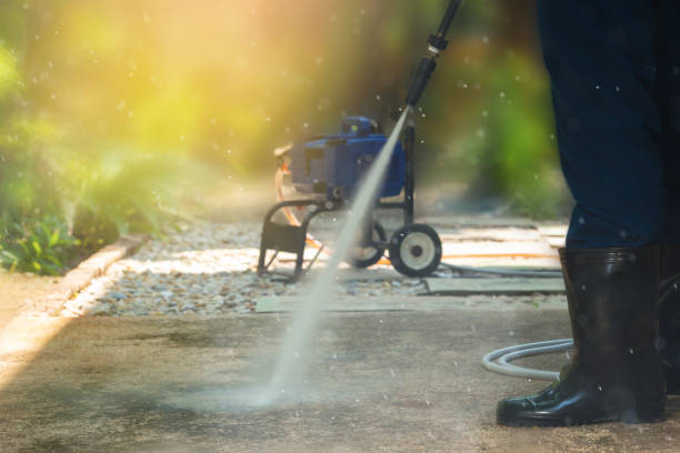 Best Gutter Cleaning  in Romancoke, MD